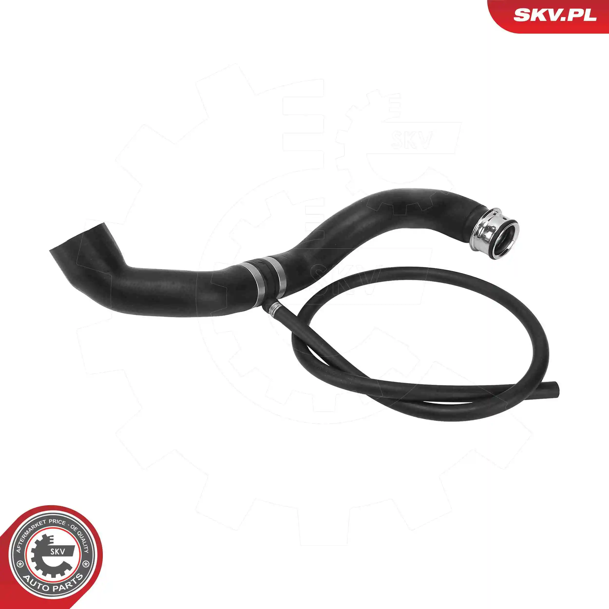 Radiator Hose